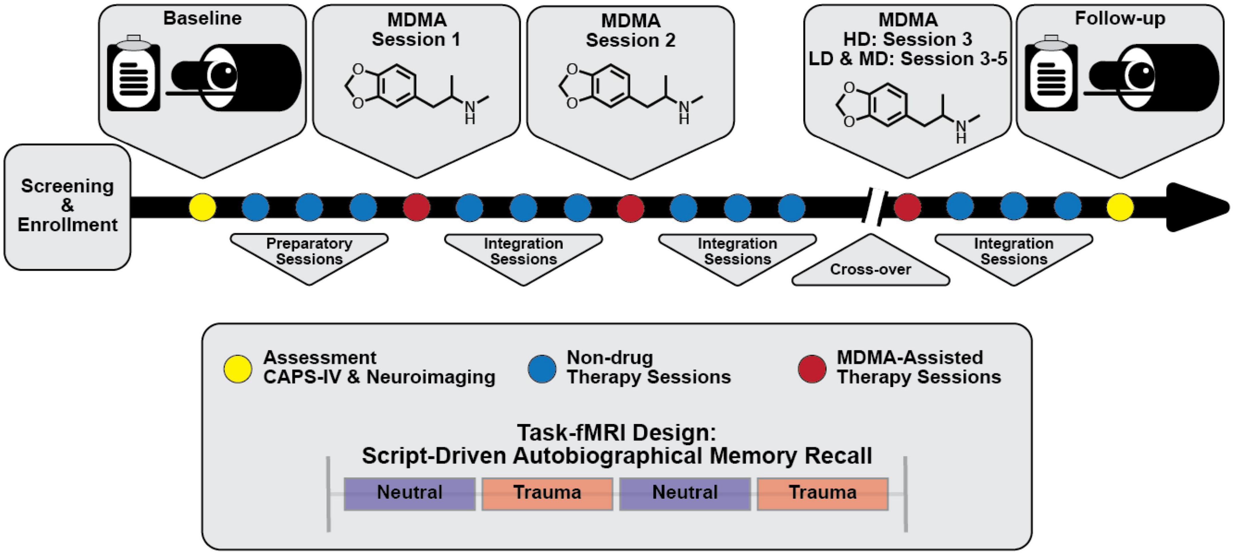 Altered brain activity and functional connectivity after MDMA-assisted therapy for post-traumatic stress disorder